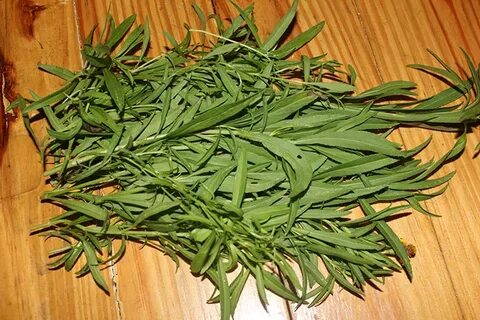 تصویر 5 از قیمت عمده سبزی ترخون خشک + شرایط خرید آسان